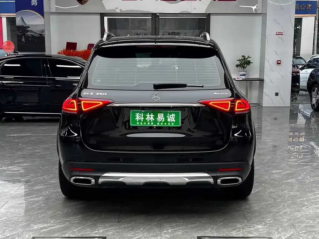 Mercedes-Benz 奔驰GLE(进口) — фото 8