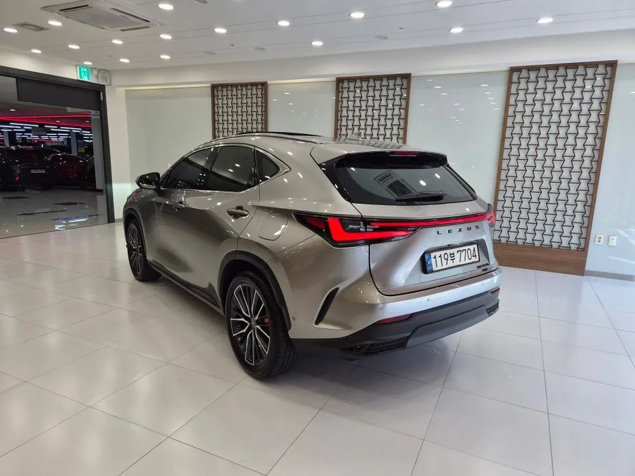 Lexus NX 2024 из KR, фото 5