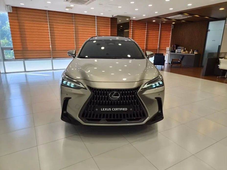 Lexus NX 2024 из KR, фото 2