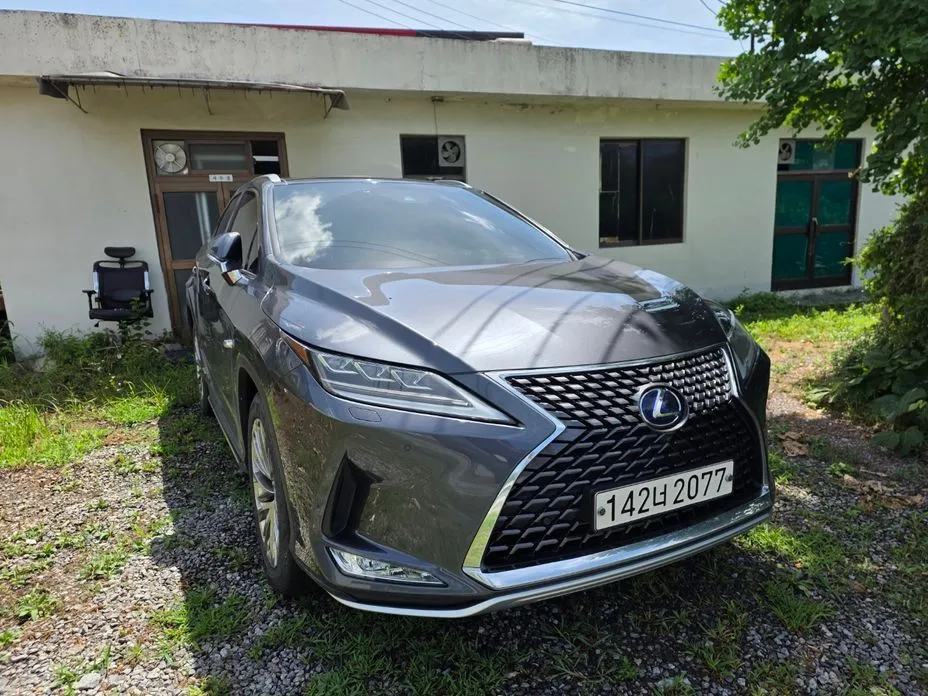 Lexus RX — фото 10