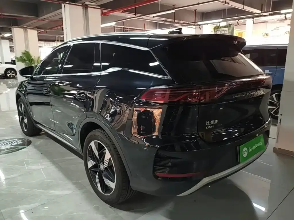 BYD Tang New Energy — фото 3
