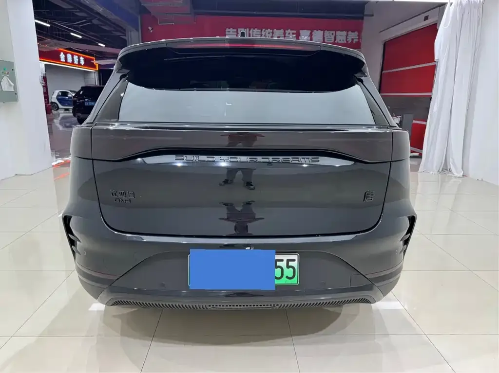 BYD Tang New Energy — фото 4