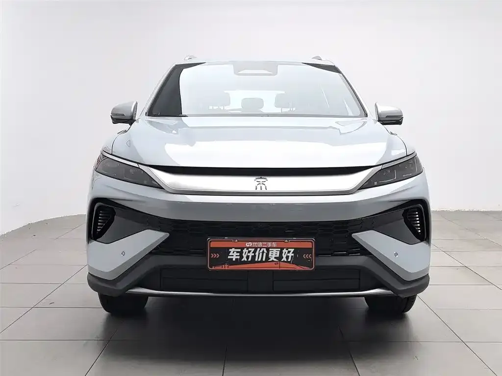 BYD Pro New Energy — фото 2