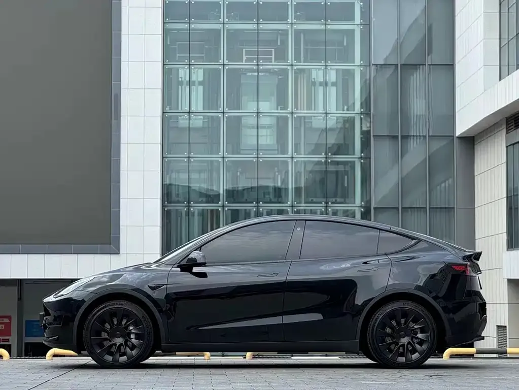 Tesla Model Y — фото 2