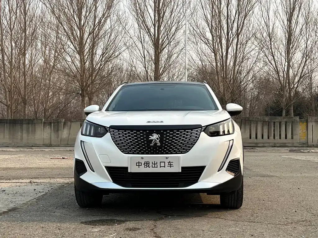 Peugeot 2008 2022 из CN, фото 6