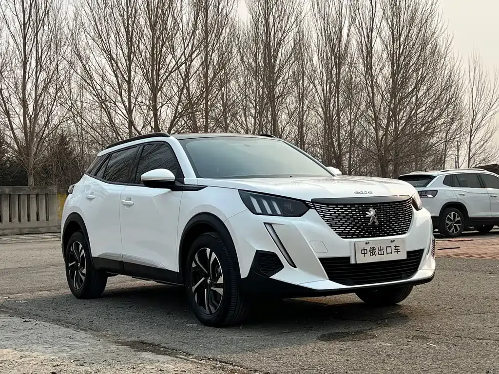 Peugeot 2008 2022 из CN, фото 9