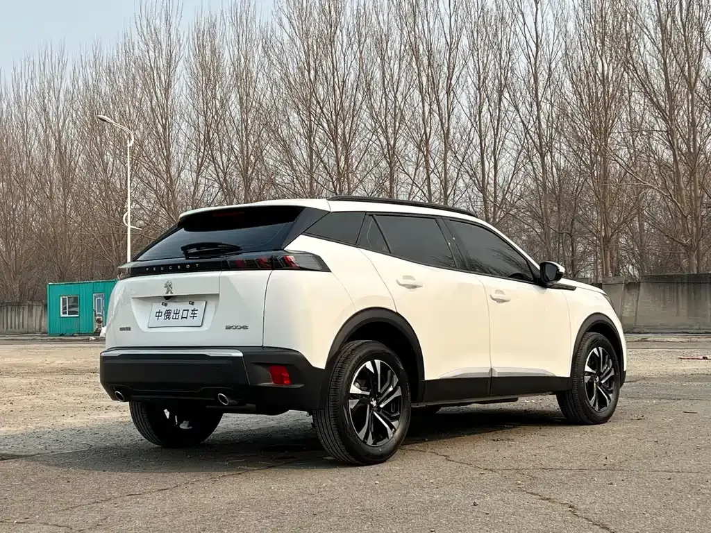 Peugeot 2008 2022 из CN, фото 10