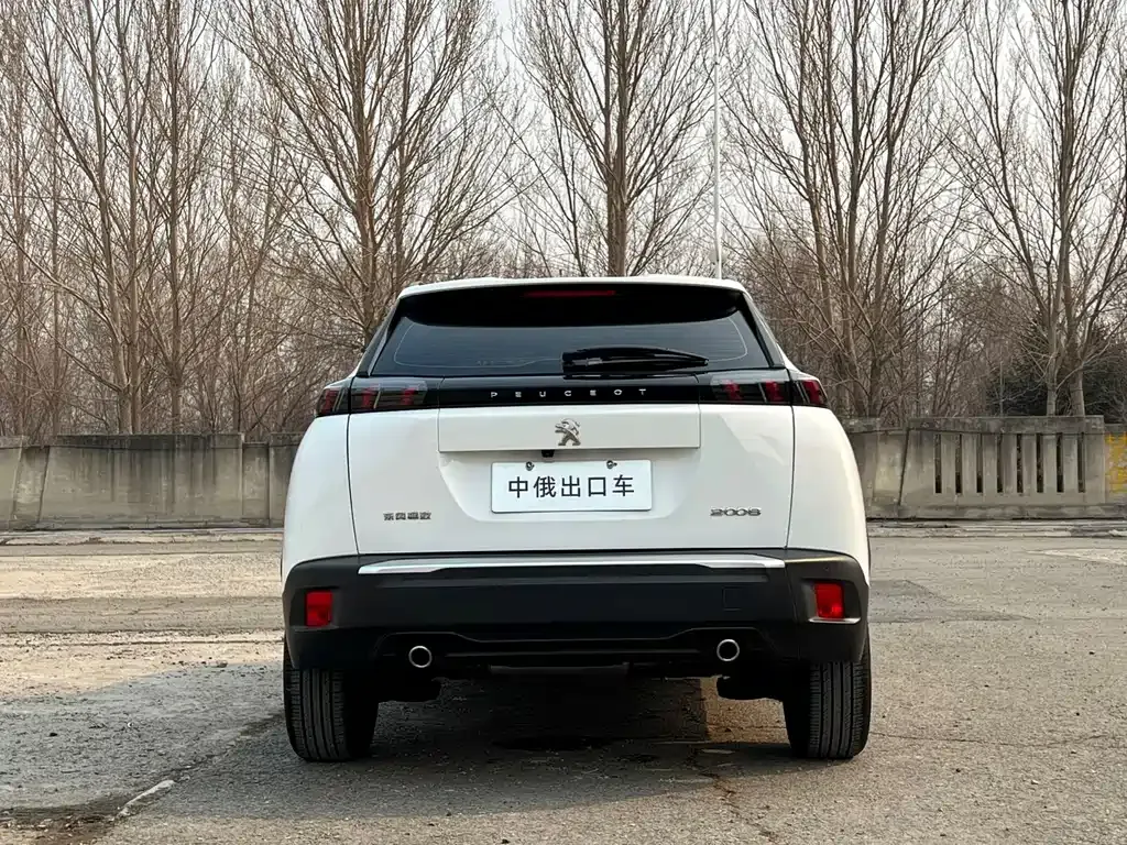 Peugeot 2008 2022 из CN, фото 8