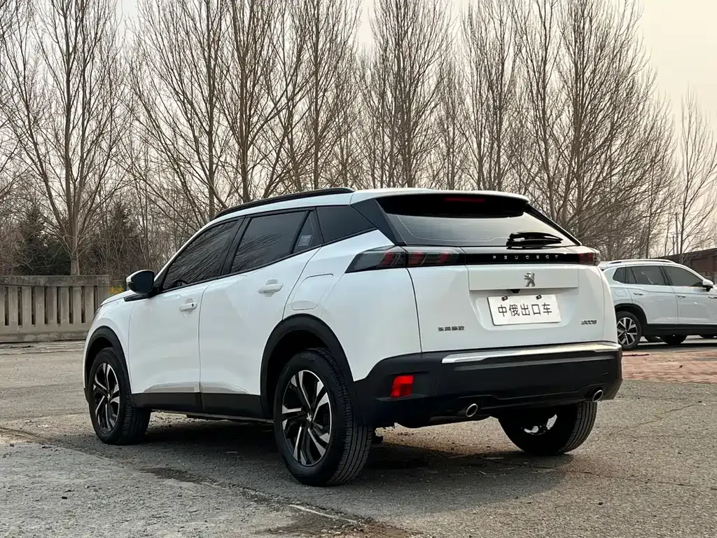 Peugeot 2008 2022 из CN, фото 7