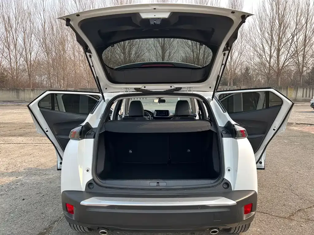Peugeot 2008 2022 из CN, фото 5