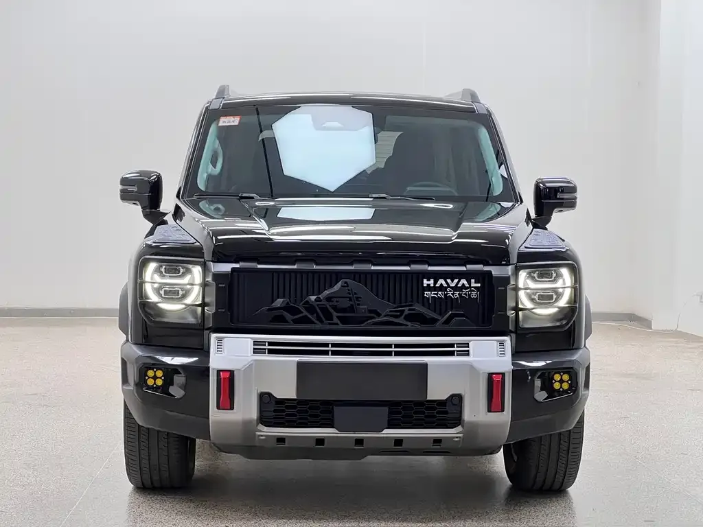 Haval Menglong New Energy 2024 из CN, фото 6