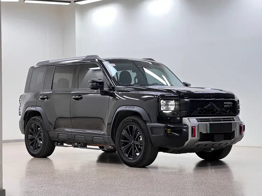 Haval Menglong New Energy 2024 из CN, фото 7