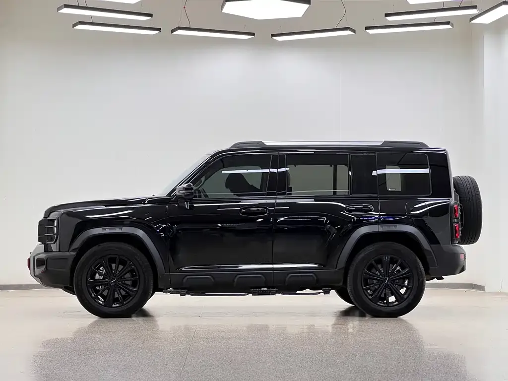 Haval Menglong New Energy 2024 из CN, фото 3
