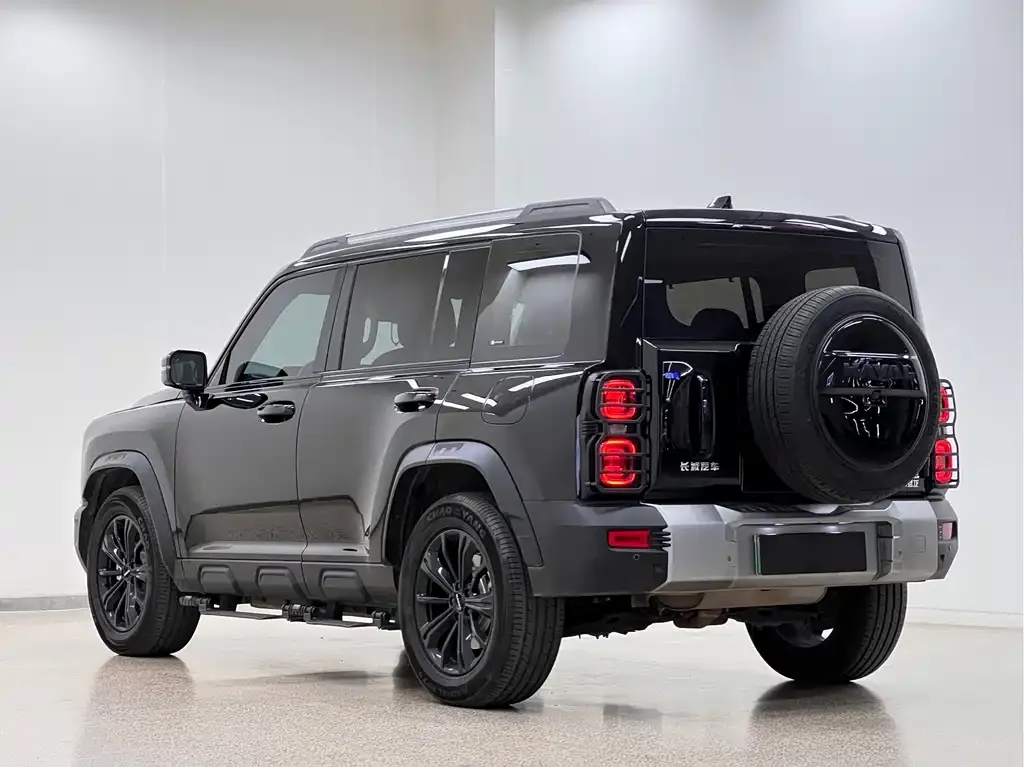 Haval Menglong New Energy 2024 из CN, фото 4