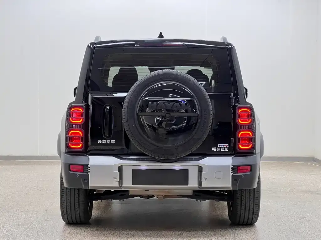 Haval Menglong New Energy 2024 из CN, фото 5