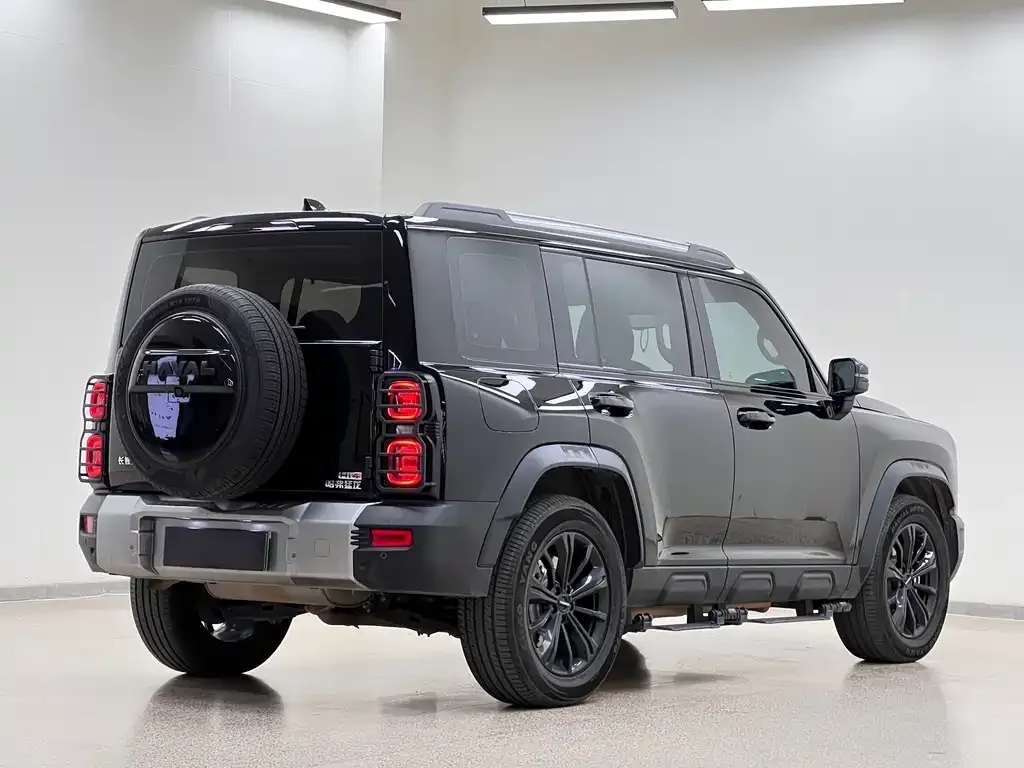 Haval Menglong New Energy 2024 из CN, фото 9