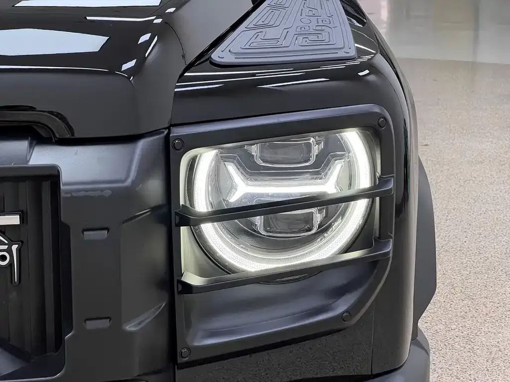 Haval Menglong New Energy 2024 из CN, фото 10