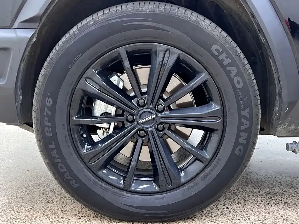 Haval Menglong New Energy 2024 из CN, фото 8