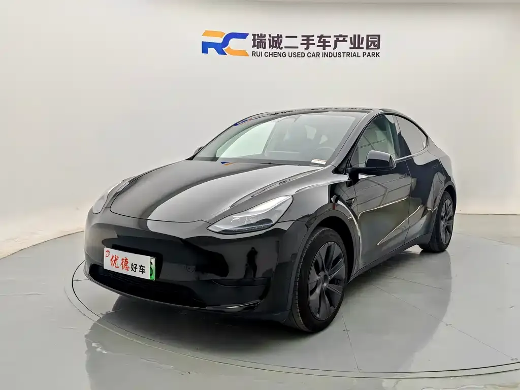 Tesla Model Y — фото 1