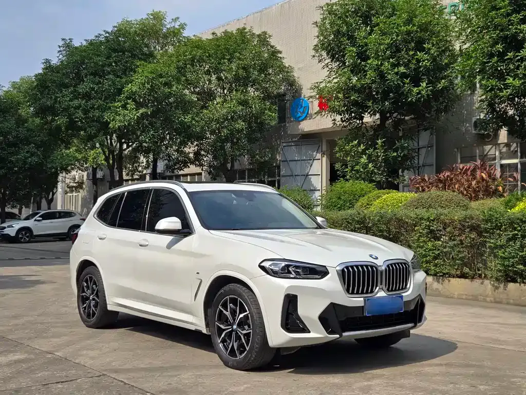 BMW X3 2023 из CN, фото 10