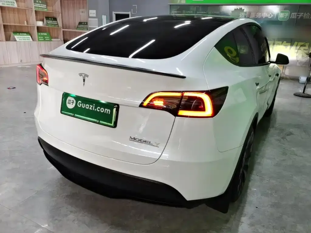 Tesla Model Y — фото 9
