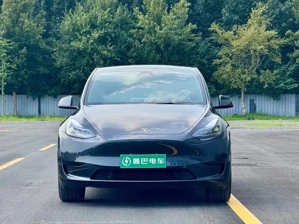 Tesla Model Y — фото 9