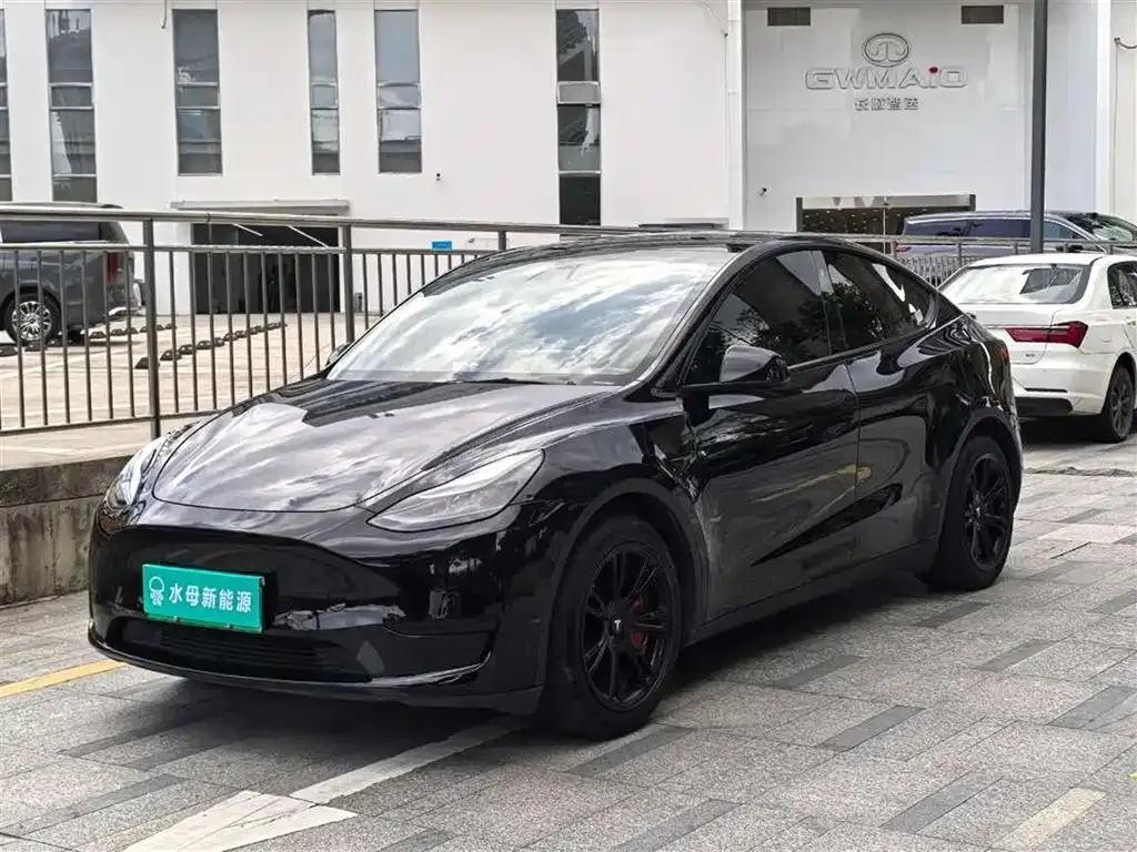 Tesla Model Y — фото 1