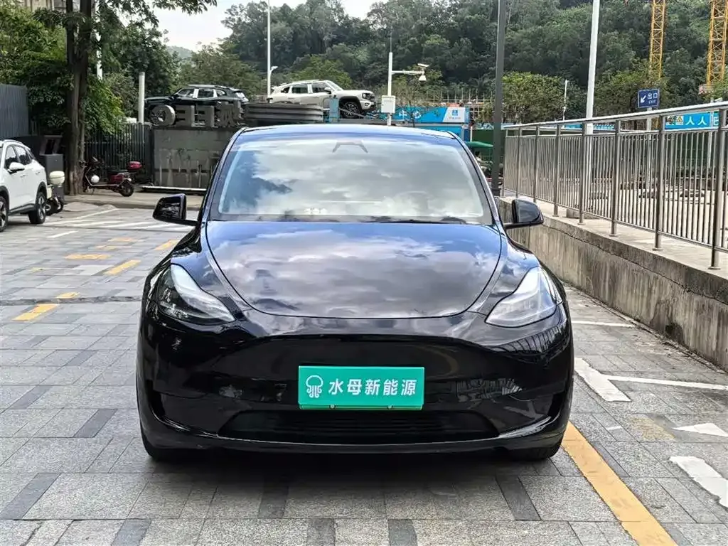 Tesla Model Y — фото 6