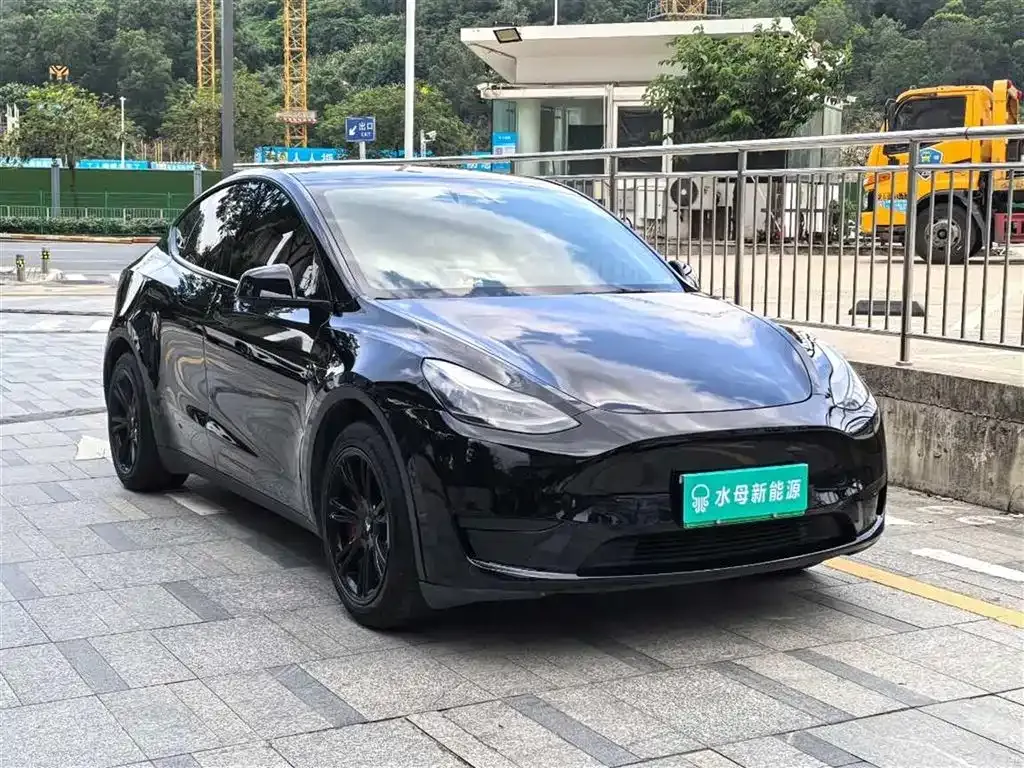 Tesla Model Y — фото 10