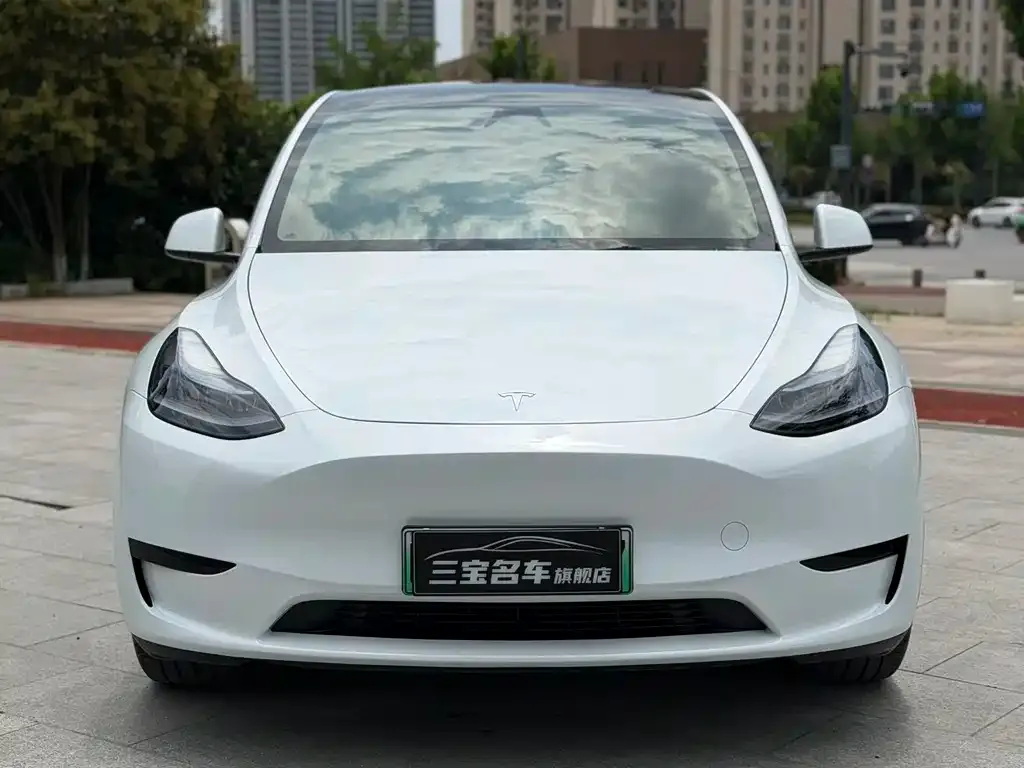 Tesla Model Y — фото 2