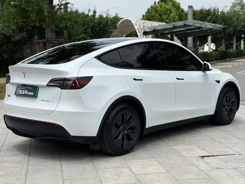 Tesla Model Y — фото 5