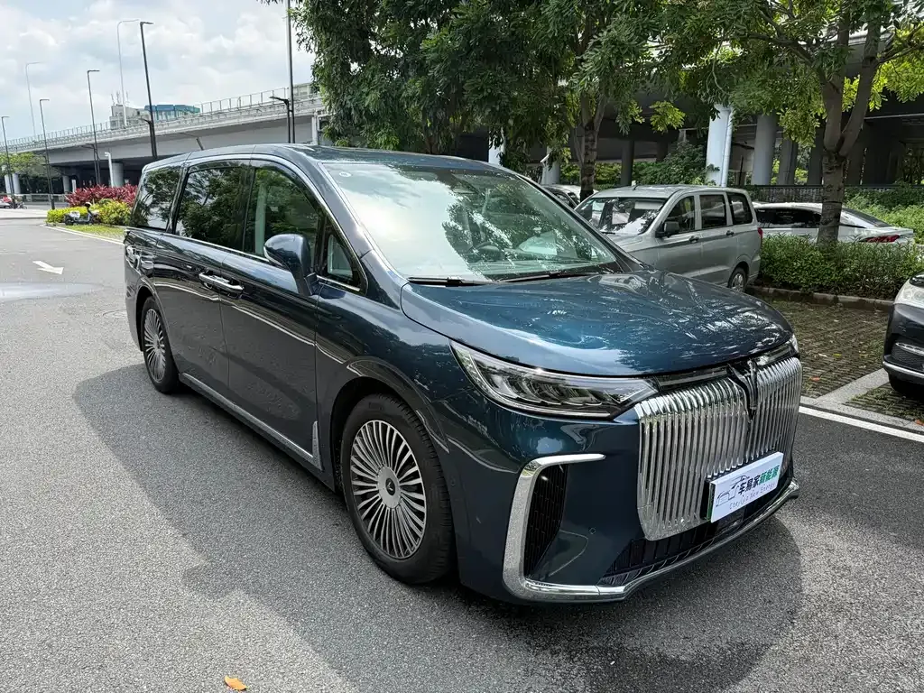 VOYAH Dreamer — фото 3