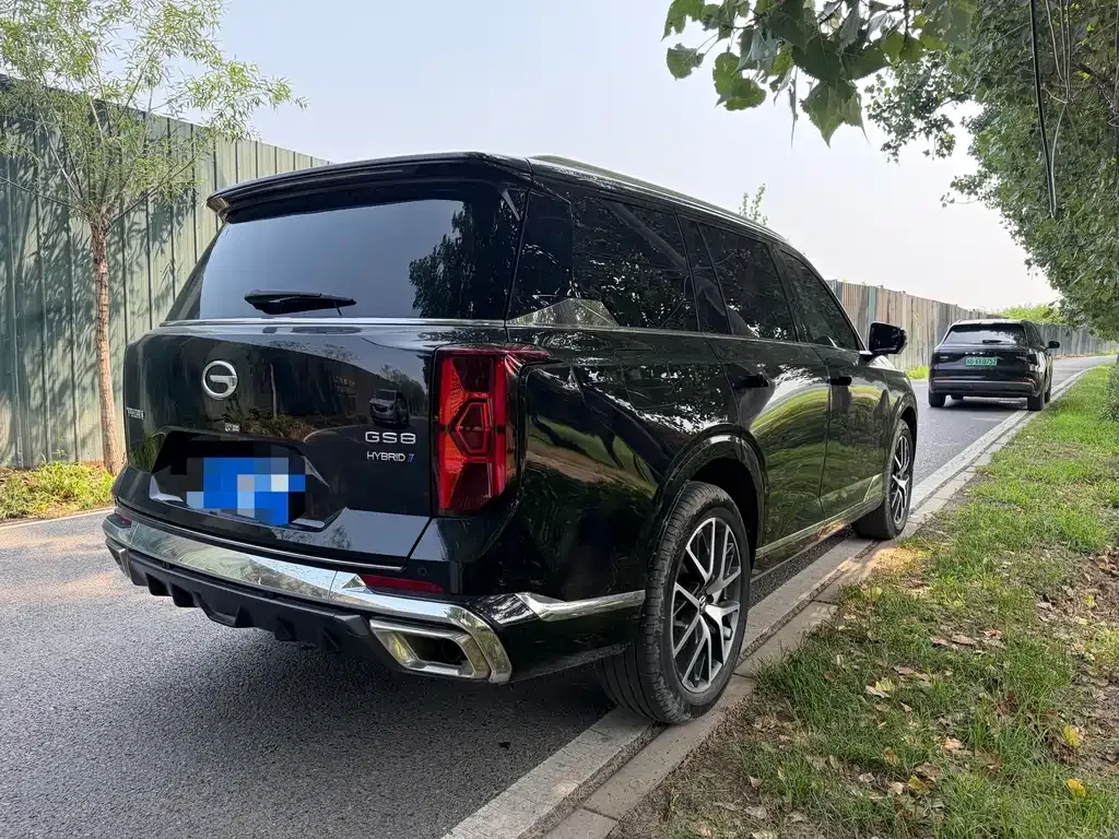 GAC Motor Trumpchi GS8 — фото 6