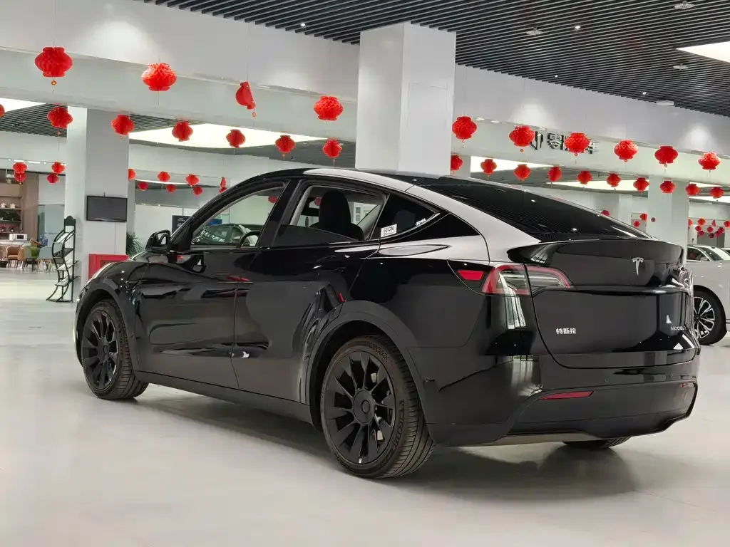 Tesla Model Y — фото 6