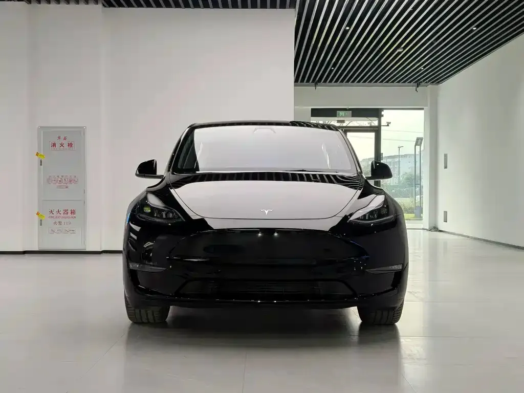 Tesla Model Y — фото 7
