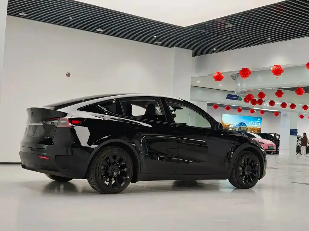 Tesla Model Y — фото 2