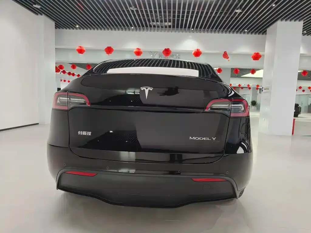 Tesla Model Y — фото 3
