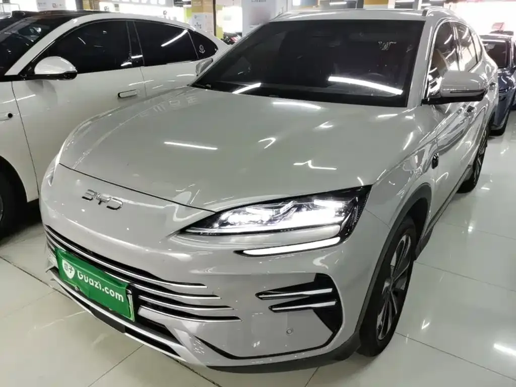 BYD PLUS New Energy — фото 10