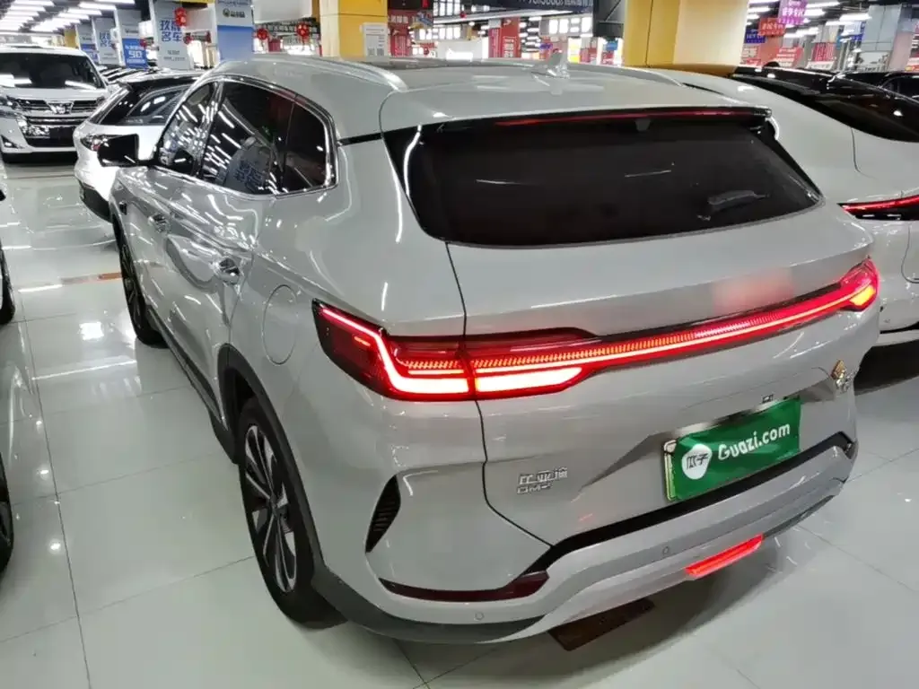 BYD PLUS New Energy — фото 8
