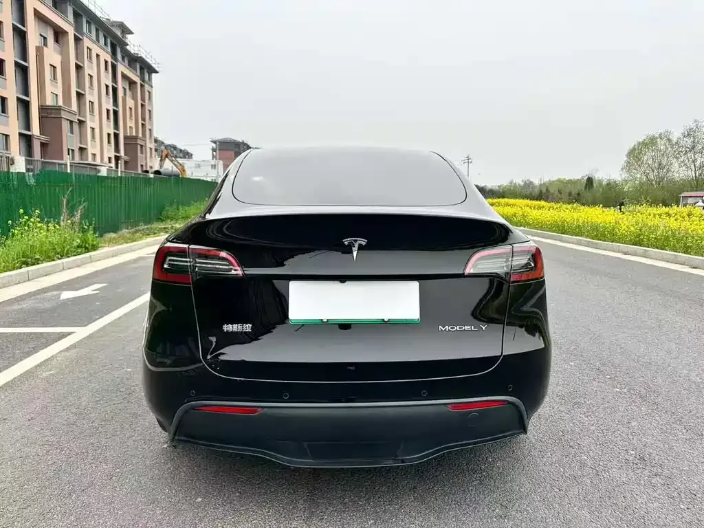 Tesla Model Y — фото 6