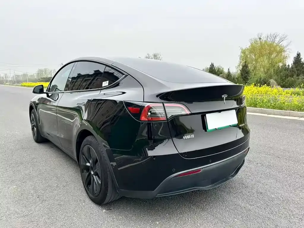 Tesla Model Y — фото 5