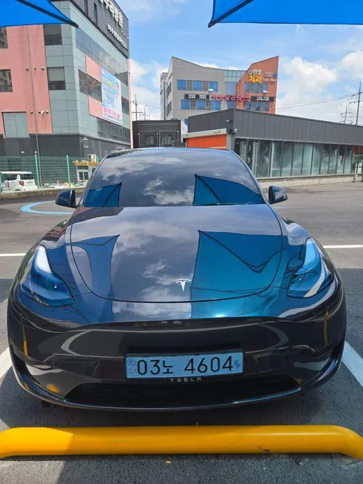 Tesla Model Y — фото 1