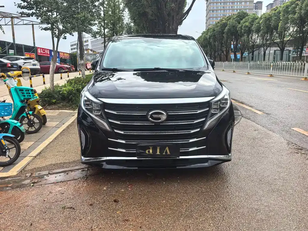 GAC Motor Trumpchi M8 — фото 9