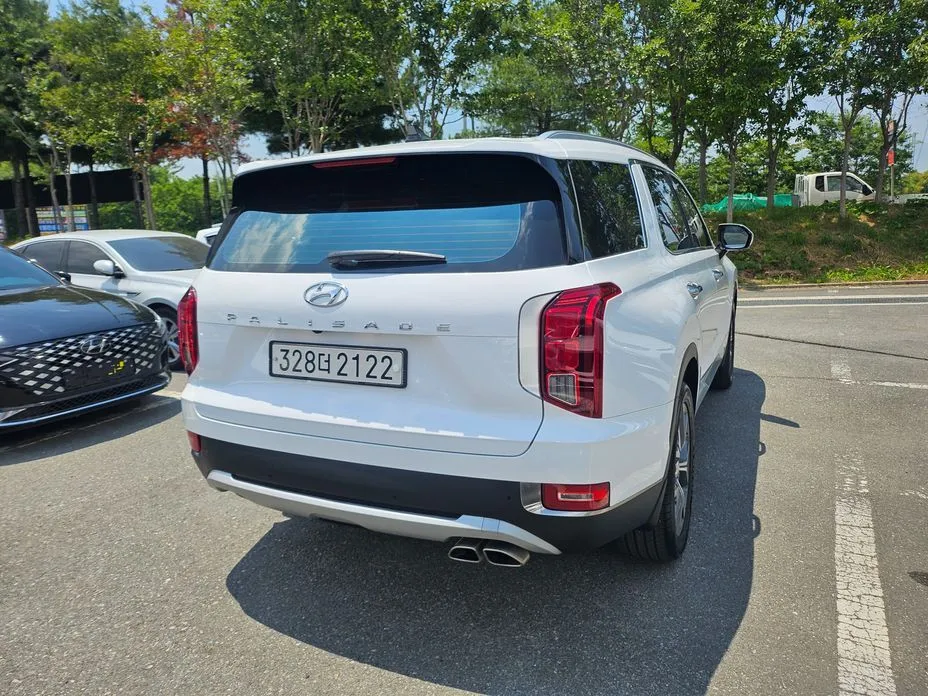 Hyundai Palisade — фото 8