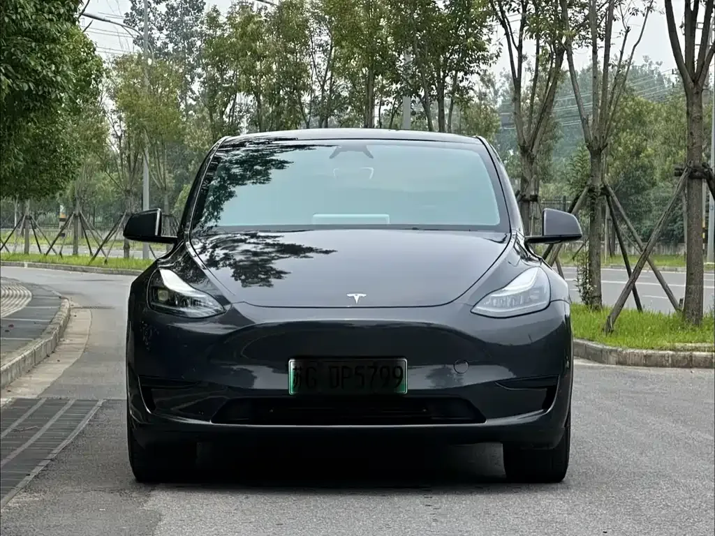 Tesla Model Y — фото 1