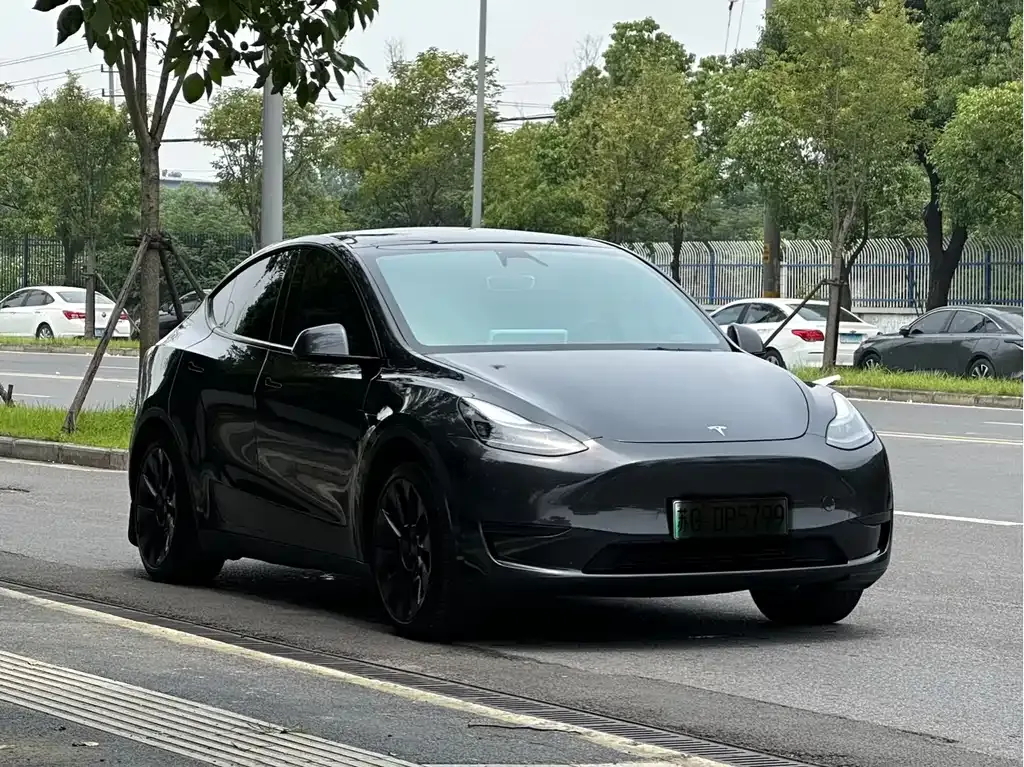 Tesla Model Y — фото 10