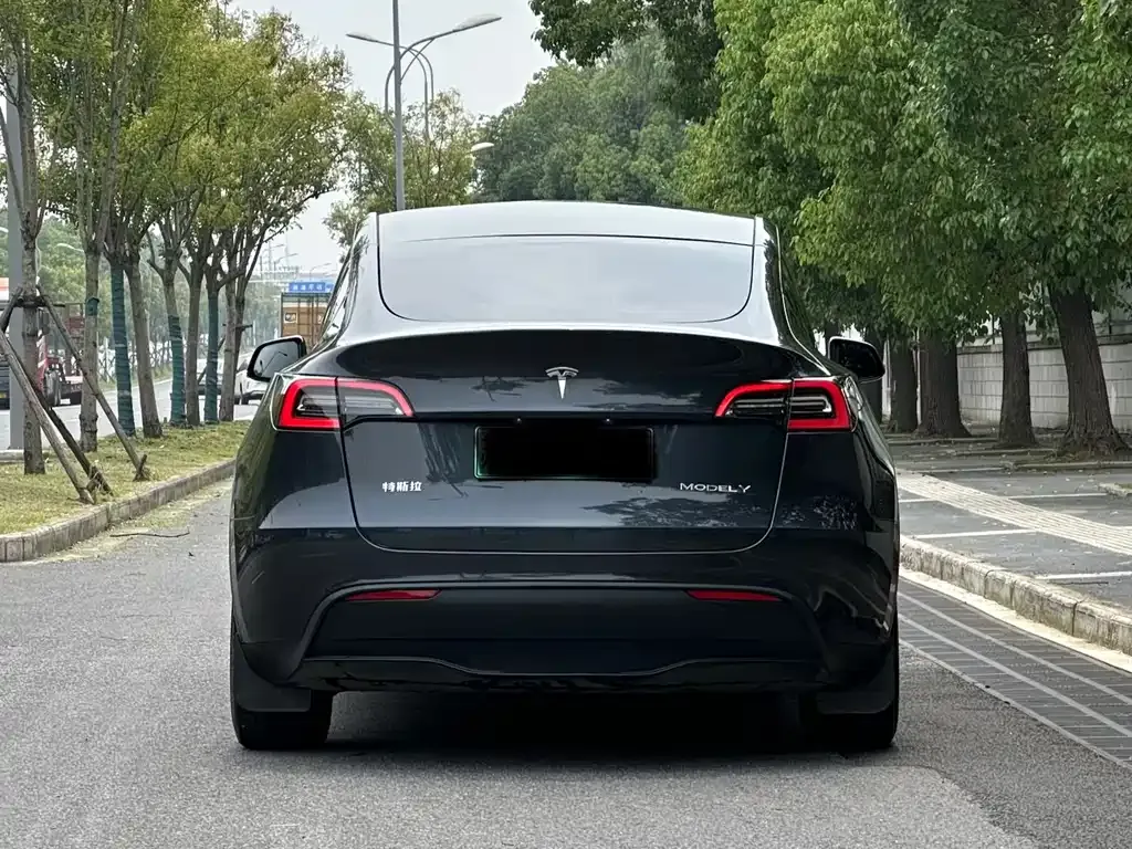Tesla Model Y — фото 9