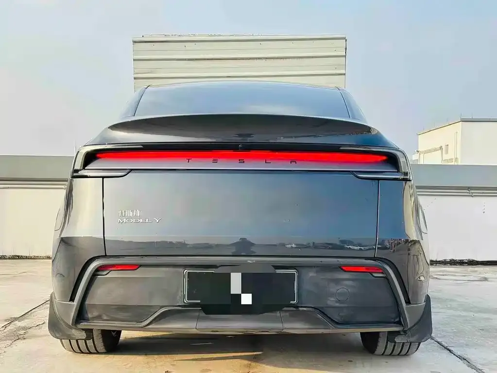 Tesla Model Y — фото 2