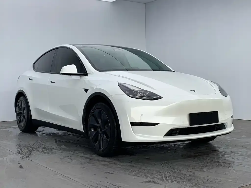Tesla Model Y — фото 2