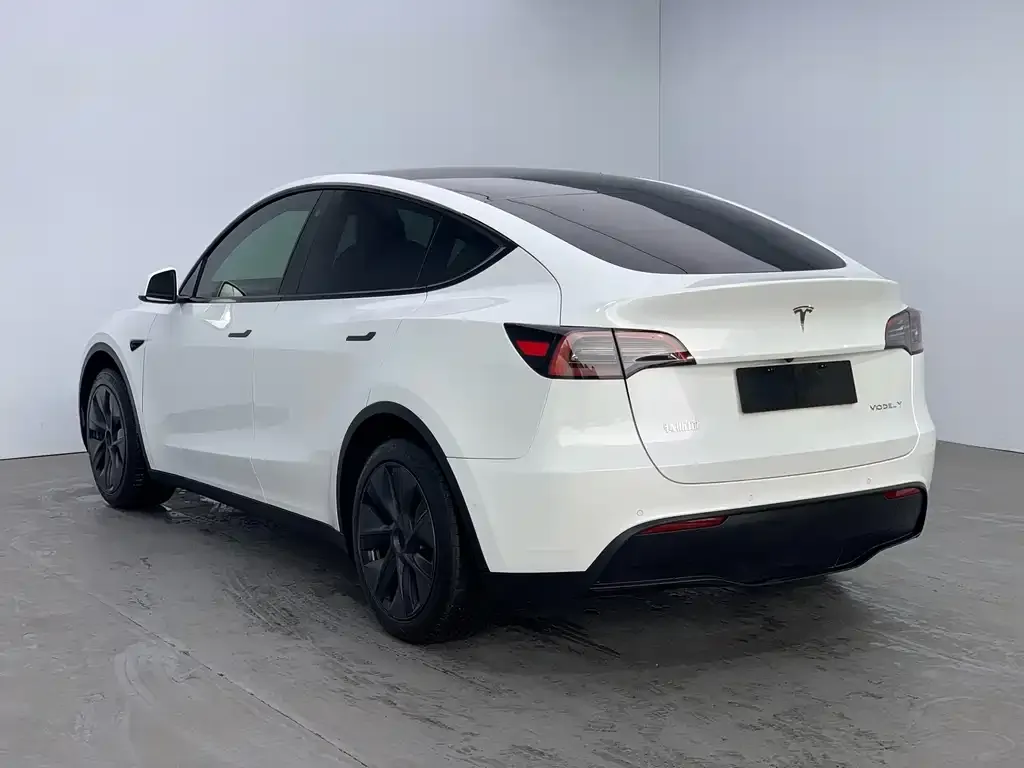 Tesla Model Y — фото 5